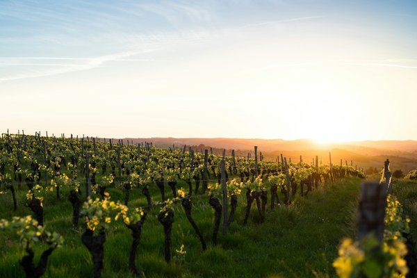 Quels sont les critères pour choisir une location de vacances en Provence avec des ateliers de poterie et des visites de vignobles?
